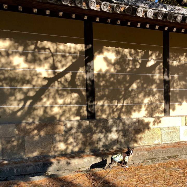 Df8b64f4 62cd 47fa 8e53 10343d2942c4 1512613360724