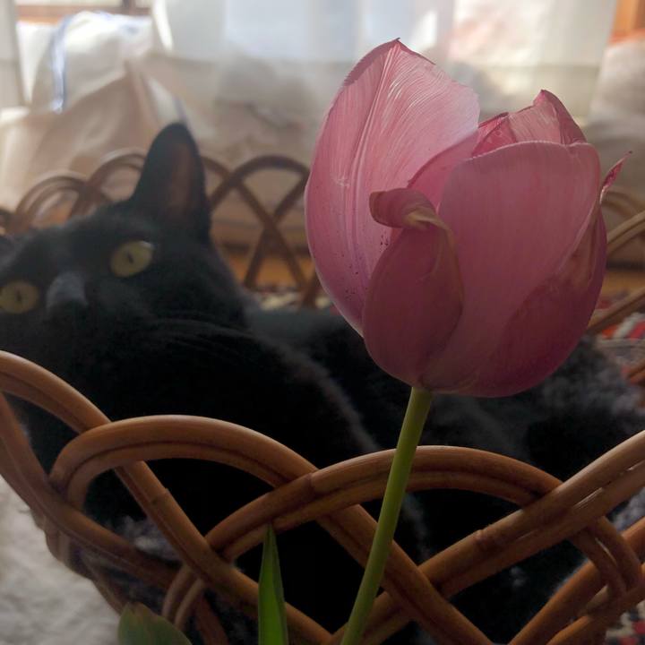 Df8b65aa 0c74 4c55 b517 2b1808074c79 1586579794058