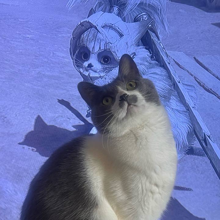 Df8b6e00 0ecf 44ed 9b80 8d6abb3e99e7 1742192551876