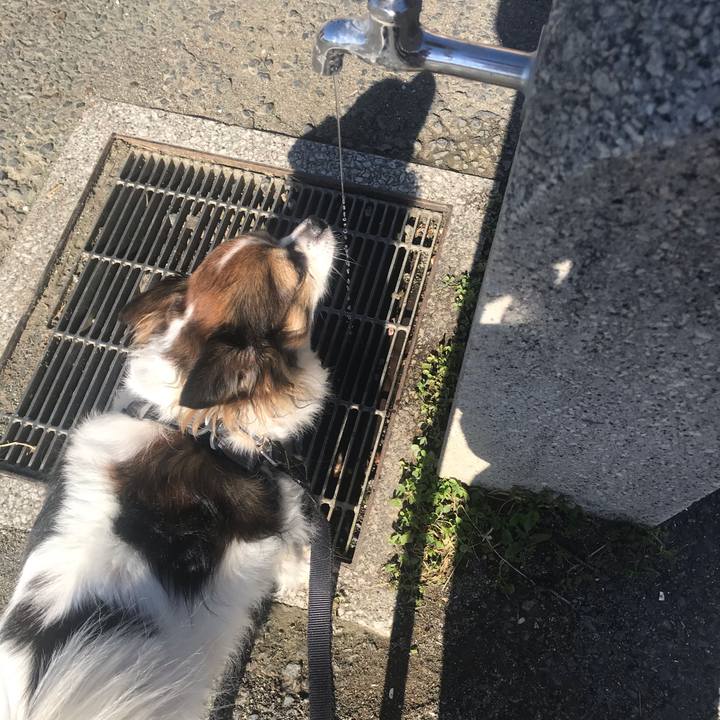 Df8bb481 56bb 4e38 aee7 54cb195824e0 1636686988798