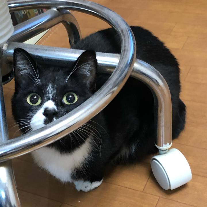 Df8bc91e b709 4ee9 9191 ea15a4ebc49d 1606189472940