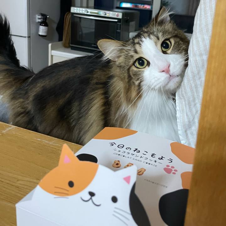 Df8bcf8e 03bd 42e1 bc9f bfcef31300f6 1680120327000