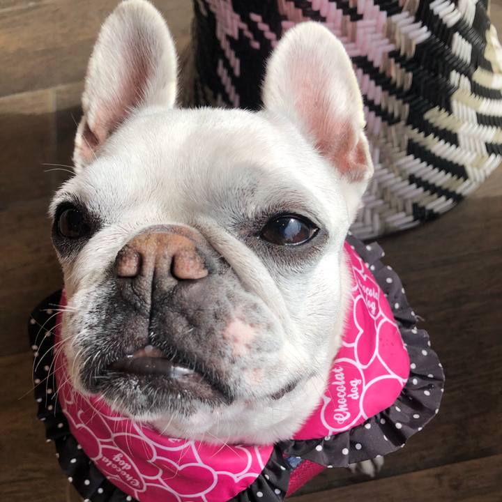 Df8be59c 8a6f 418a 8ce5 4e3c386b6229 1677326562705