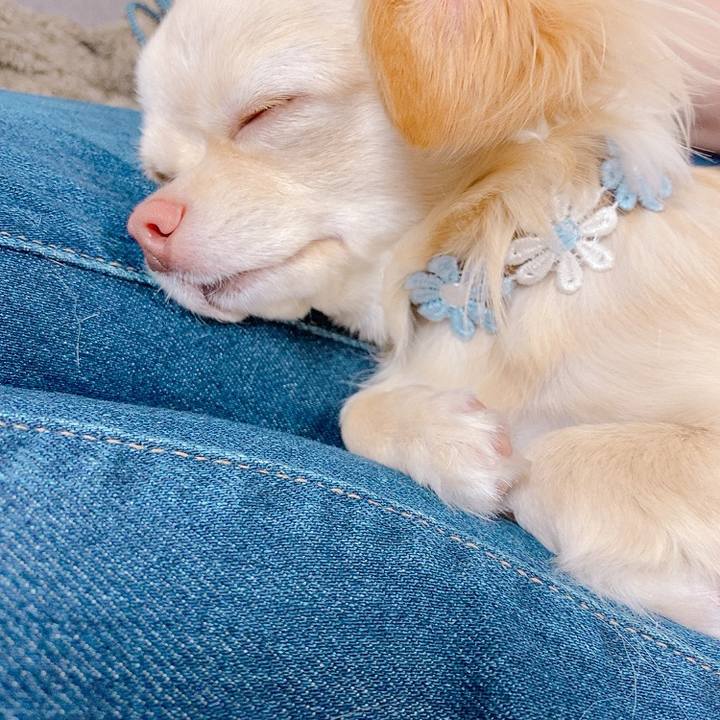 Df8c0c4f 08e8 486e 874a 18bf9d78fc0b 1619414644712