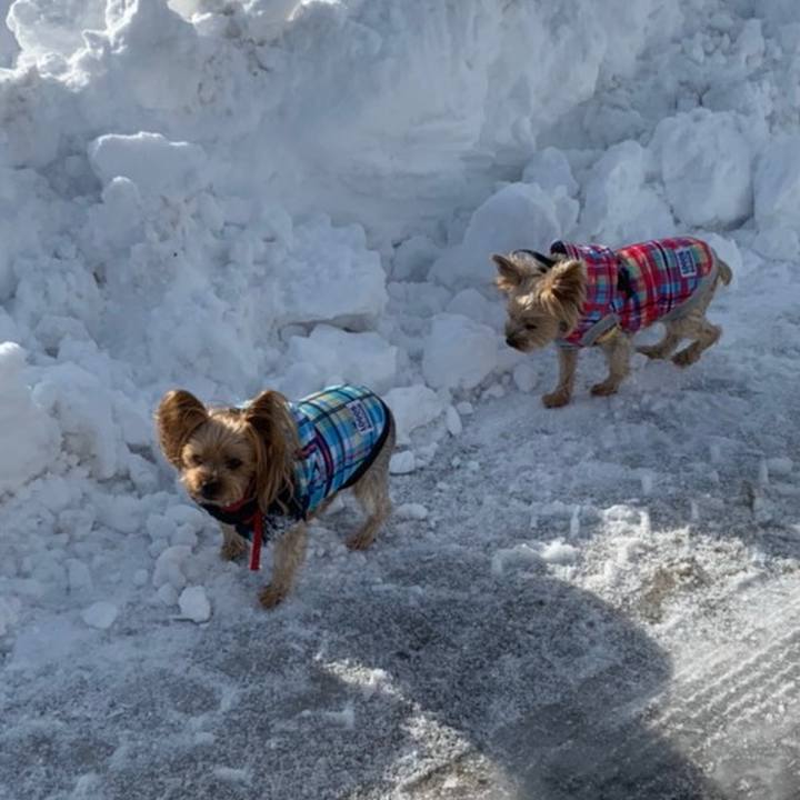 Df8c1bd9 70d4 433f a647 fefaf9f074a1 1607587918858