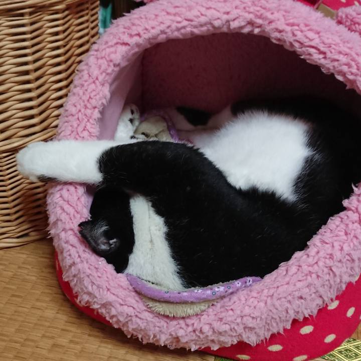 Df8c2cb2 8d46 4a36 aa74 8308daa37890 1529325616556