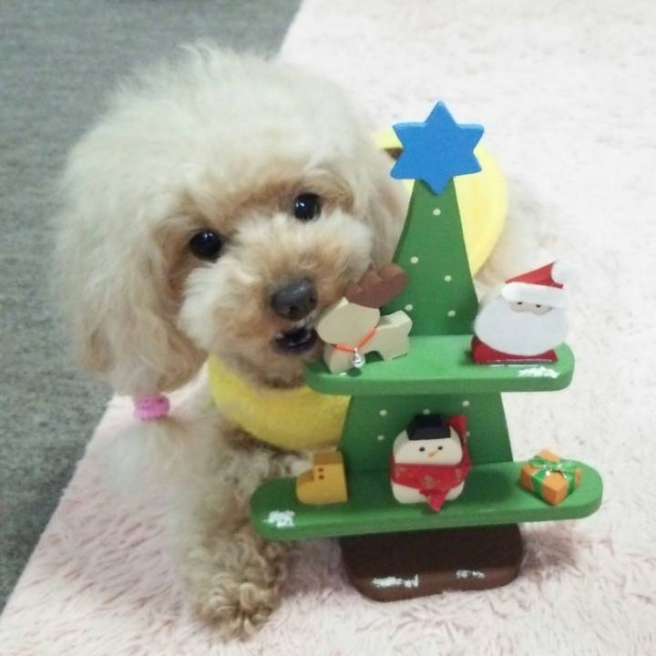 Df8ca3e6 7120 43bc 8e6b 5e743e461c52 1542711034949