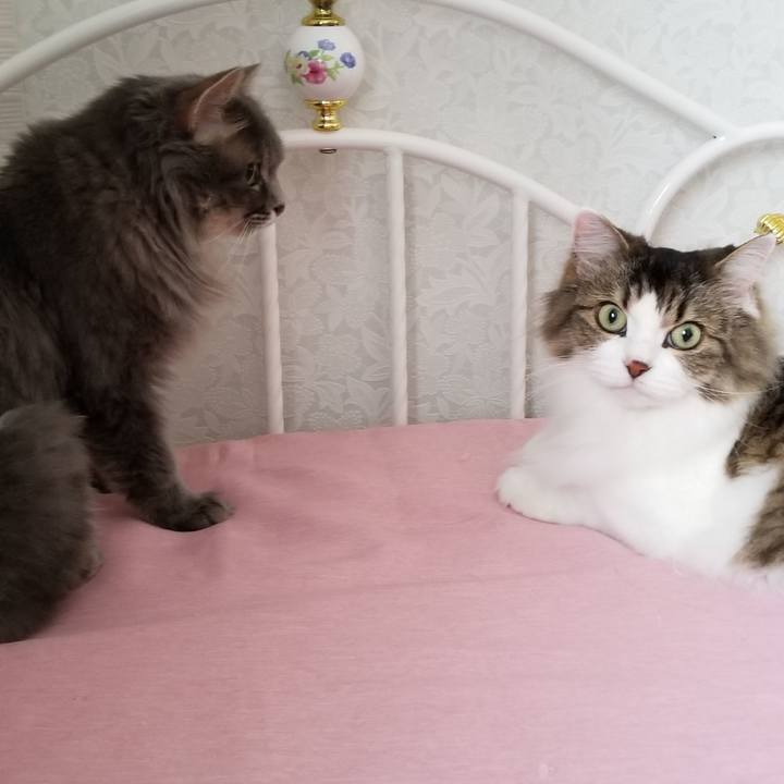 Df8ca4da dc3e 4a93 a036 8f57db64438d 1598834737196