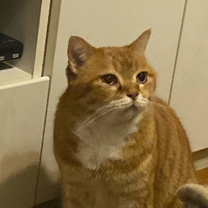 Df8cc1b8 92cf 4d66 8593 f85d18963217 1644677803392