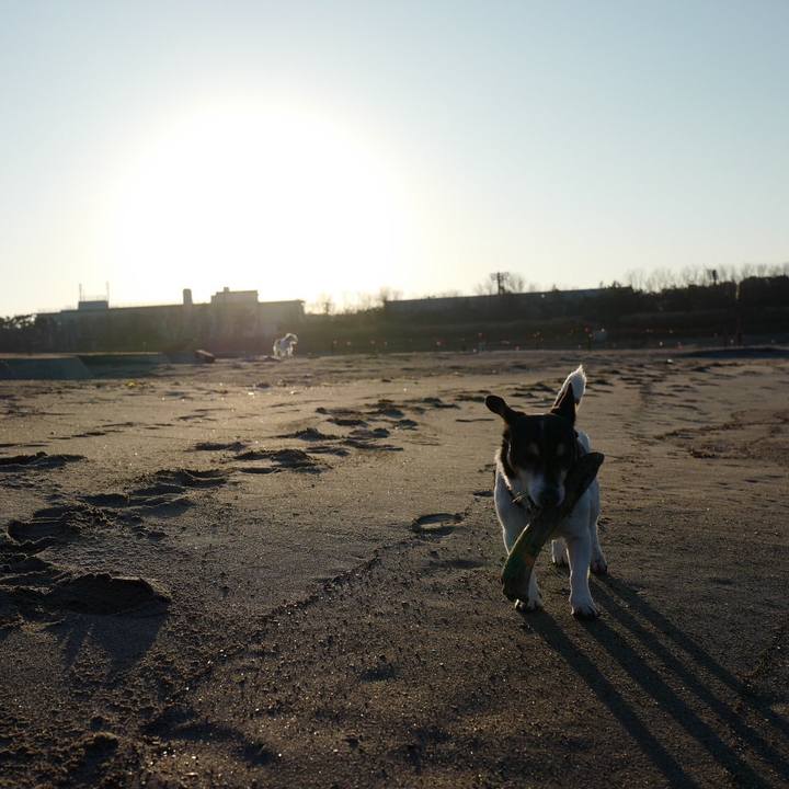 Df8cc705 d665 469c b124 43f241e14340 1543290041794