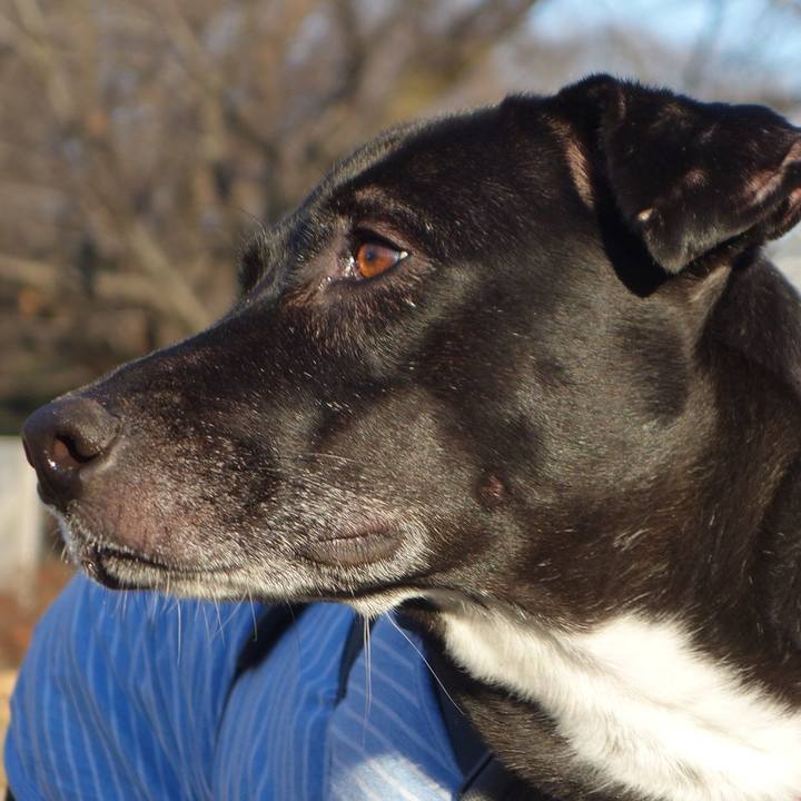 Df8ce7dc ca8b 42c6 aa2f 1ee929e03365 1640827312573