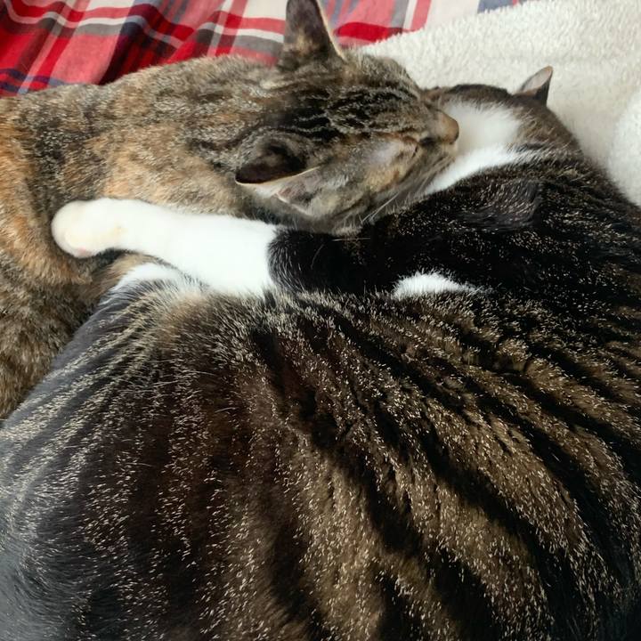 Df8cf963 2a0d 4c83 aa6d 07f67225fd40 1604485129562