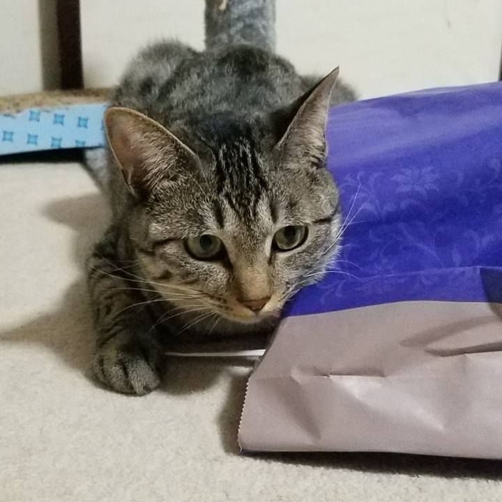 Df8d0c28 329a 406f abee ad62dc6be44c 1685568164980