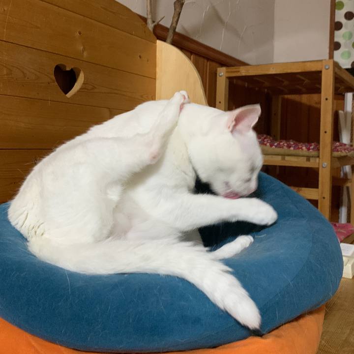 Df8d1adc 57b6 4922 a4cb 85434680b4a1 1657889987419