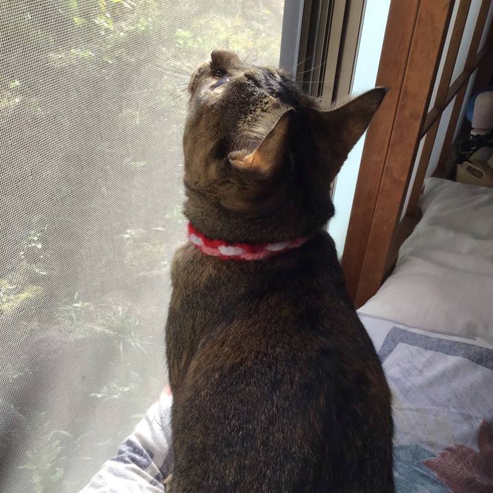 Df8d2a1b 8c57 4164 82dd 4372220ff55e 1604365376487