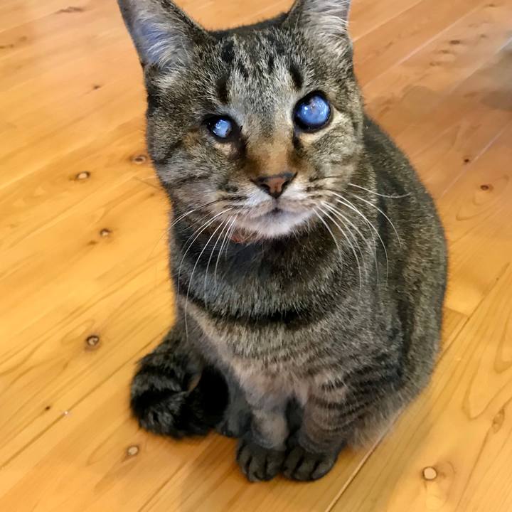 Df8db24f 8256 4937 880d 1ba337e08211 1582802881887