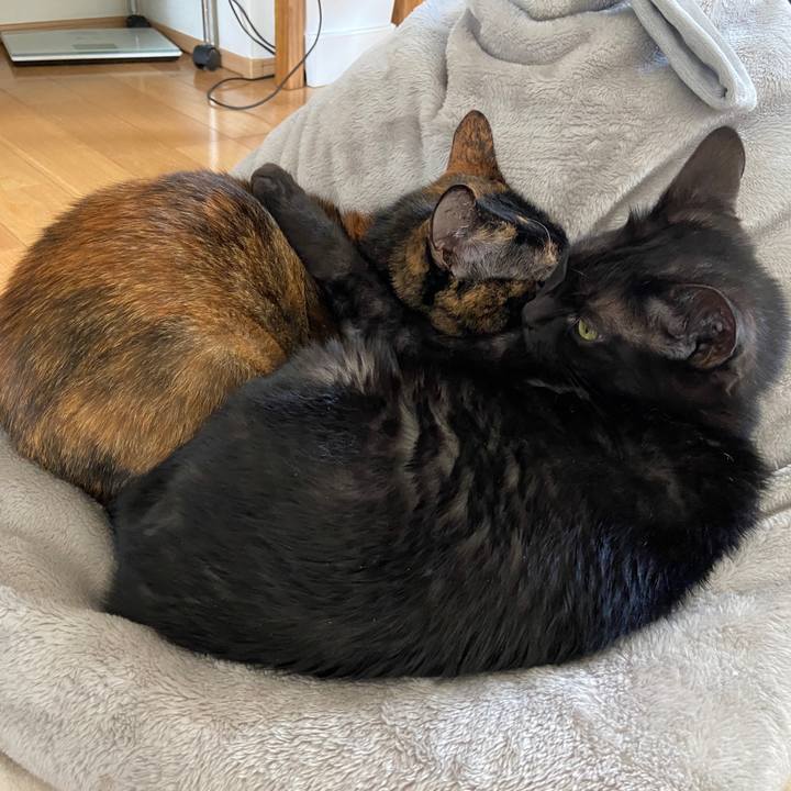 Df8ddebc dee8 4b1f abc7 7c1f81eb7018 1634823122392