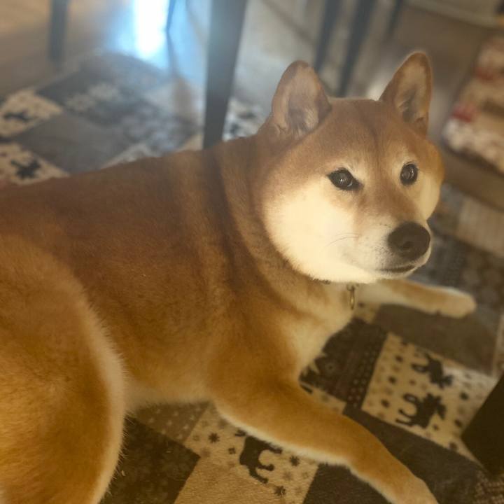 Df8df481 19e7 4e8d adb4 ee5ac792b8c8 1591327446542