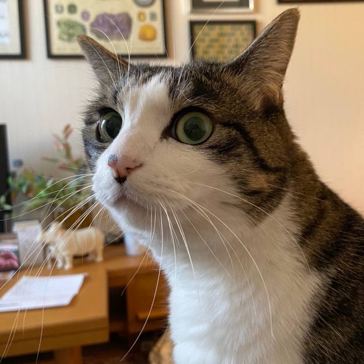 Df8e26ef 3874 4195 af56 b277ce4f9d1e 1608972584011