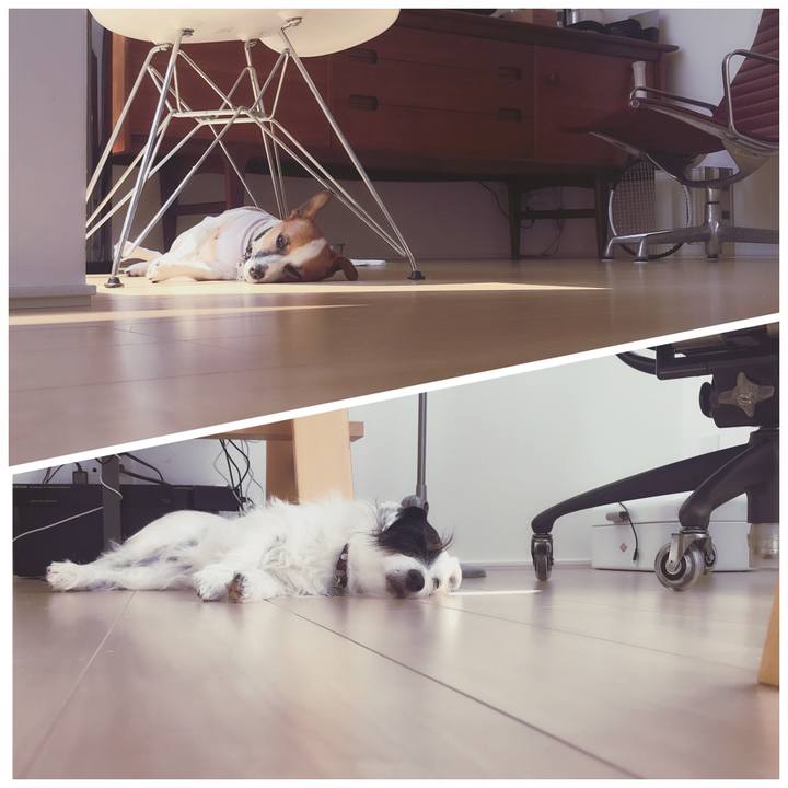 Df8e4484 4a54 49d7 b708 d0fbede7a4e2 1533268153774