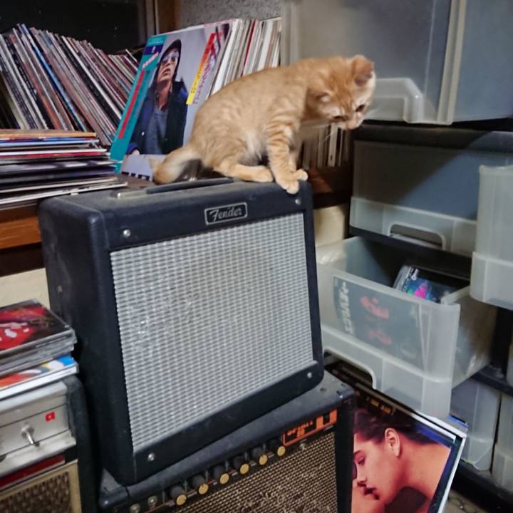 Df8e6f08 909c 49fd 8d46 cde40b6b7fe4 1632313090061