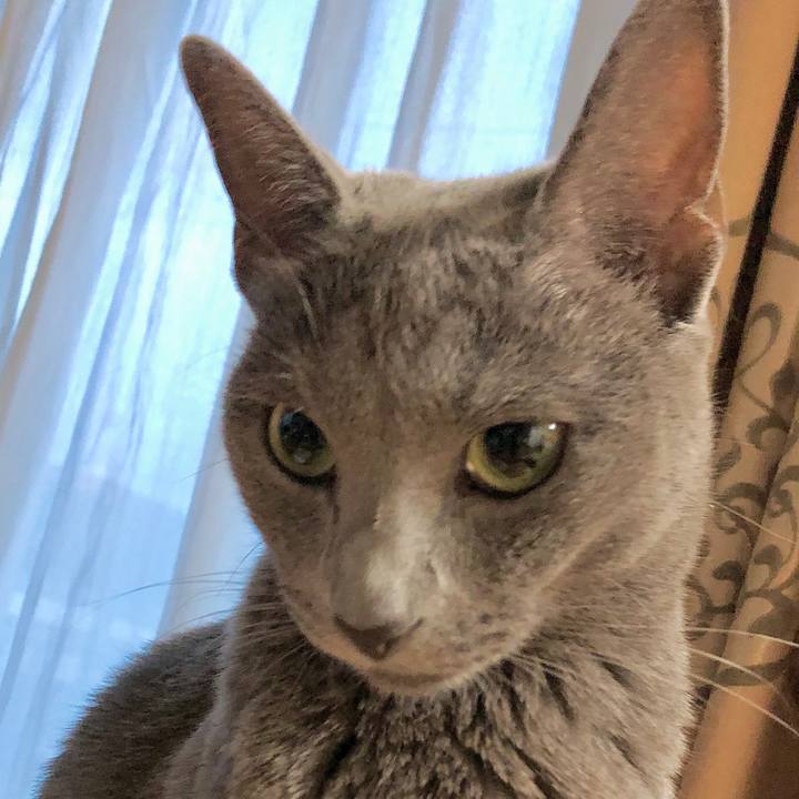 Df8e71e6 3e20 4bd1 a425 d1e38cf5c930 1593824402178