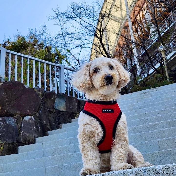 Df8e8cee 451e 4810 bea2 681928206812 1762743312784