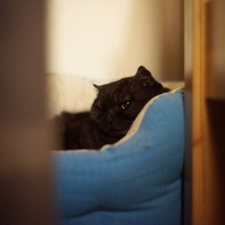 Df8e953d 1d95 4e71 b4f7 6cec12709b26 1619628694934