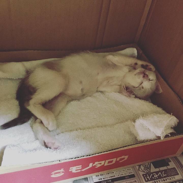 Df8ee6c3 bc52 4987 8e09 53e026e97cc5 1540893398049