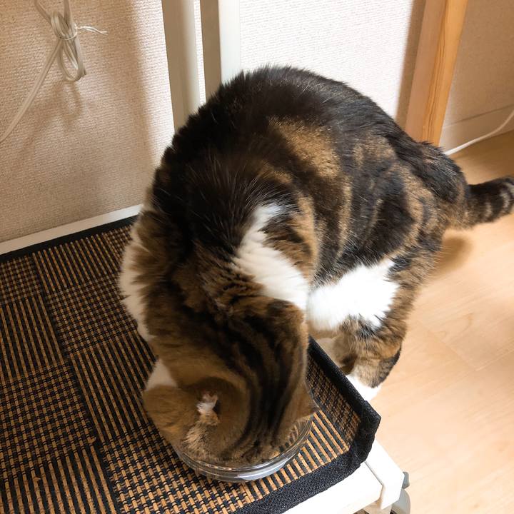 Df8f3732 023e 45dc 9554 b1dfc86ed92c 1547303945237