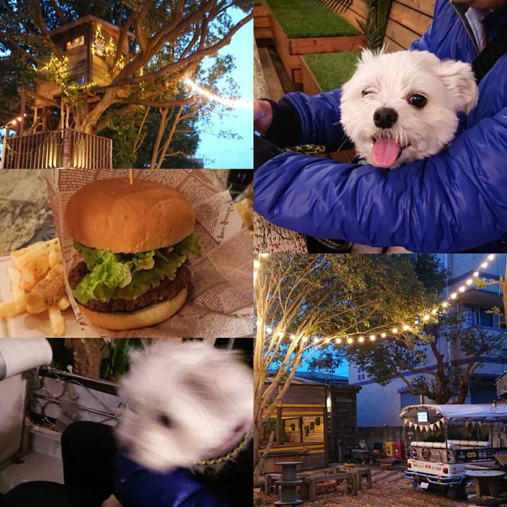 Df8f39bd 6896 4e60 9139 839e782fef25 1579955417660