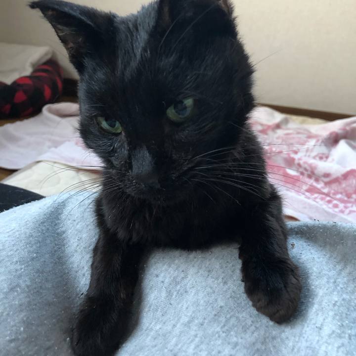 Df8f46a8 314d 4897 80d8 26b375ba0560 1557743023350