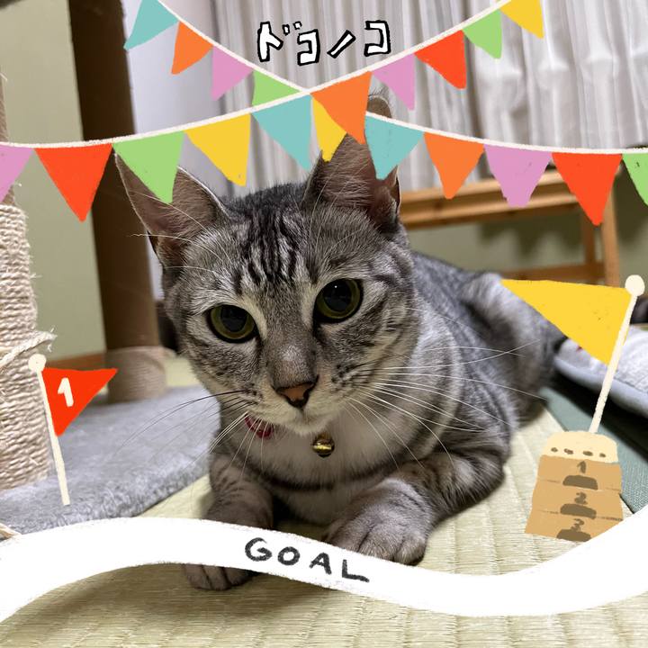 Df8f4976 33e2 401a 9a26 3ba77a65aa19 1729048579679