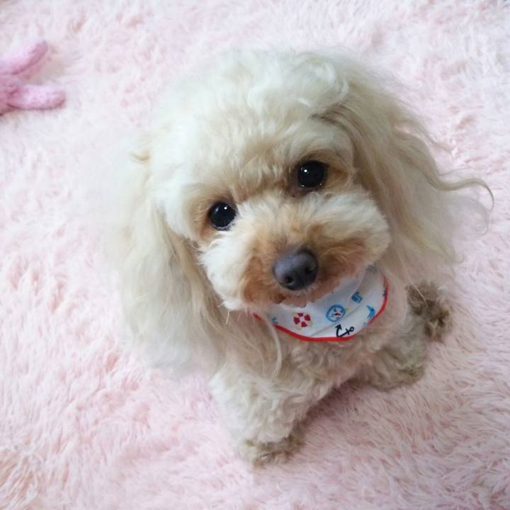 Df8f4c9c bcaf 4943 8e41 898db9f91e30 1524201892555