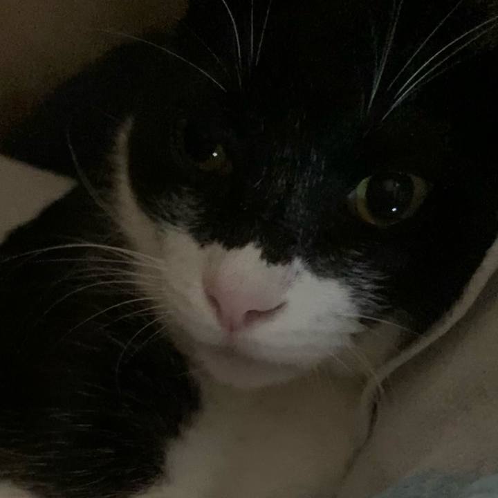 Df8f83ce 3a11 43d0 8ce1 ea2987fc25a6 1619496368525