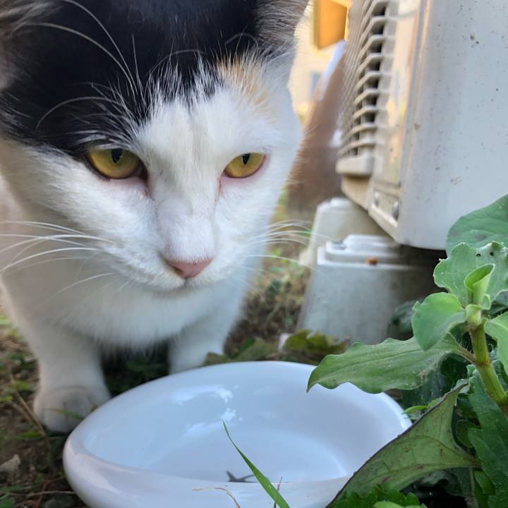 Df8fad30 87f5 447d 9361 696af82bb65d 1603582087243