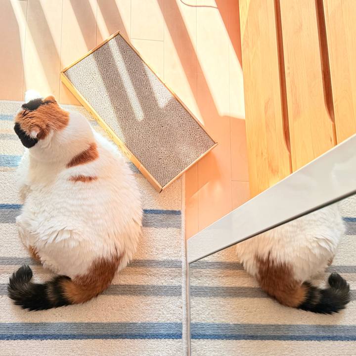 Df8fb182 18d8 4155 81b6 6495ce236ed7 1759467868784