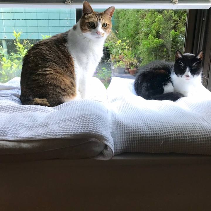 Df8ff82d 613a 4c25 bc0c bc04ff46a507 1558320877686