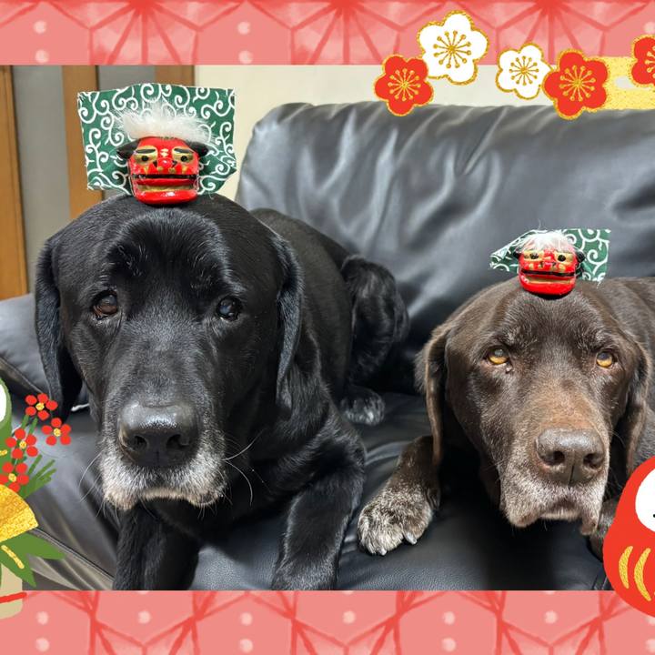 Df90400c 5737 4ee5 93a4 67850bbbf2c5 1767264017007