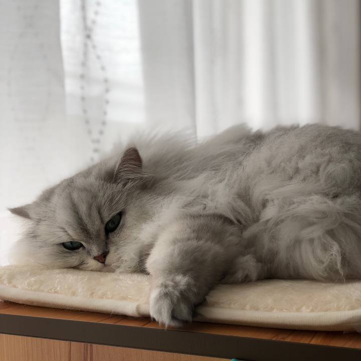 Df905f38 72b2 4113 be3b bef245426978 1521598178836