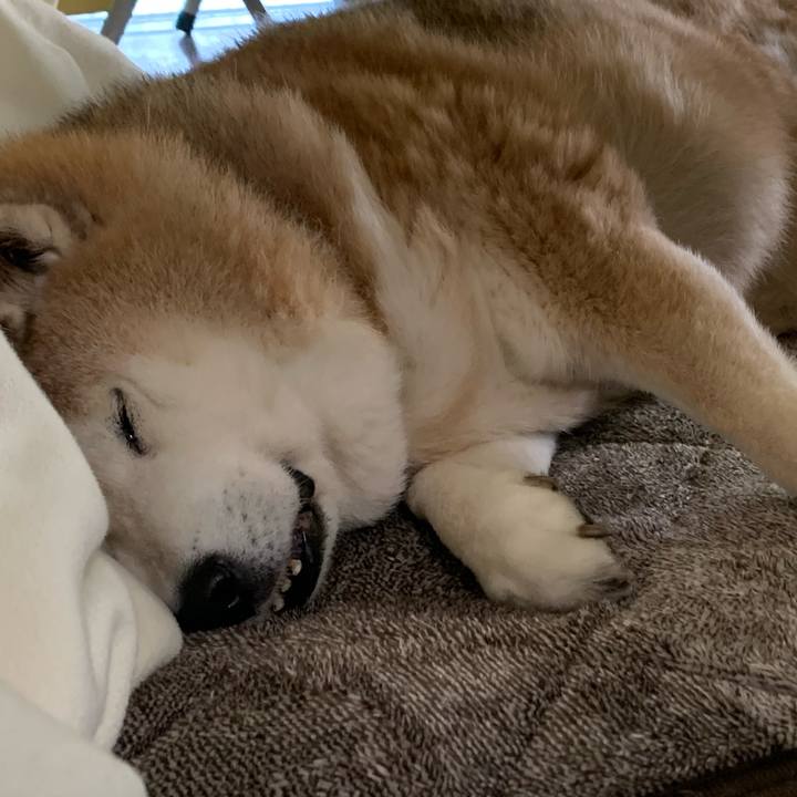 Df9078c3 3bfa 4d38 bc7a d85b59a8df04 1643104849309