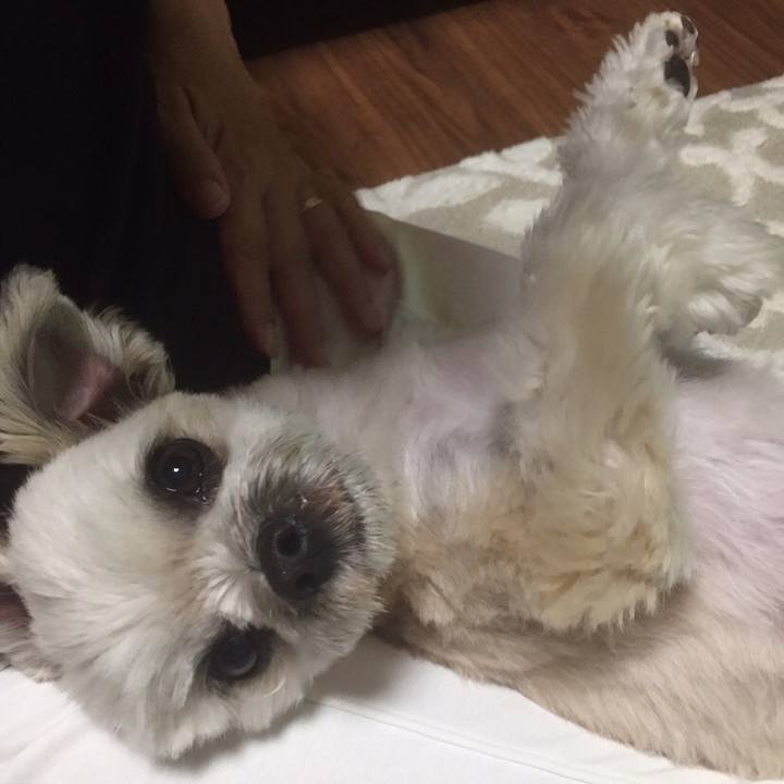 Df90c4cb efca 4ad8 a58a 9da629b9f2bf 1559561949910