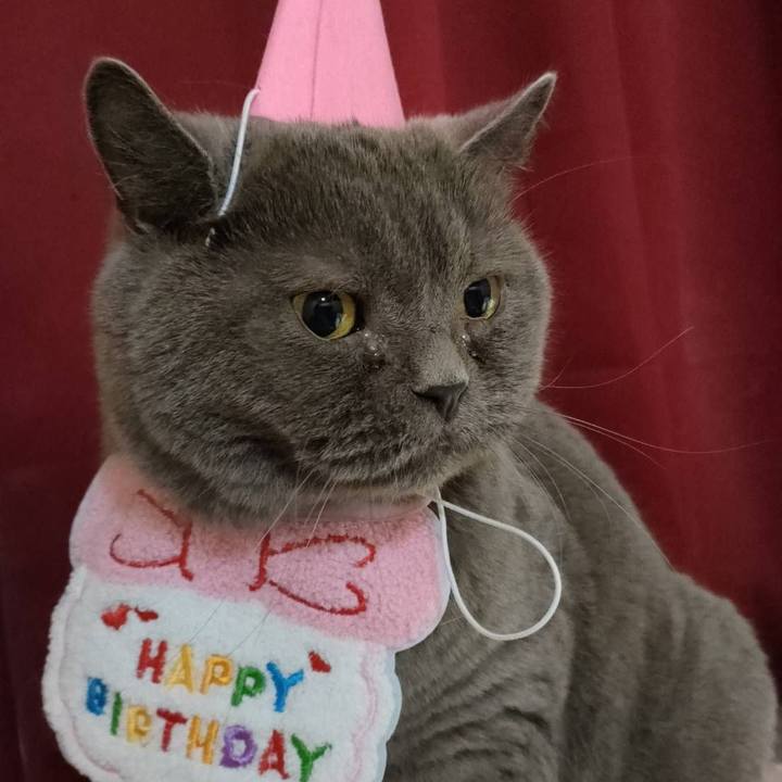 Df91111e a04e 47ad 90b6 3d93efba20af 1696415802584