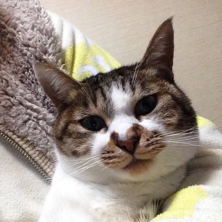 Df91149a 921e 48c7 8367 1032efa85b8c 1545666402540