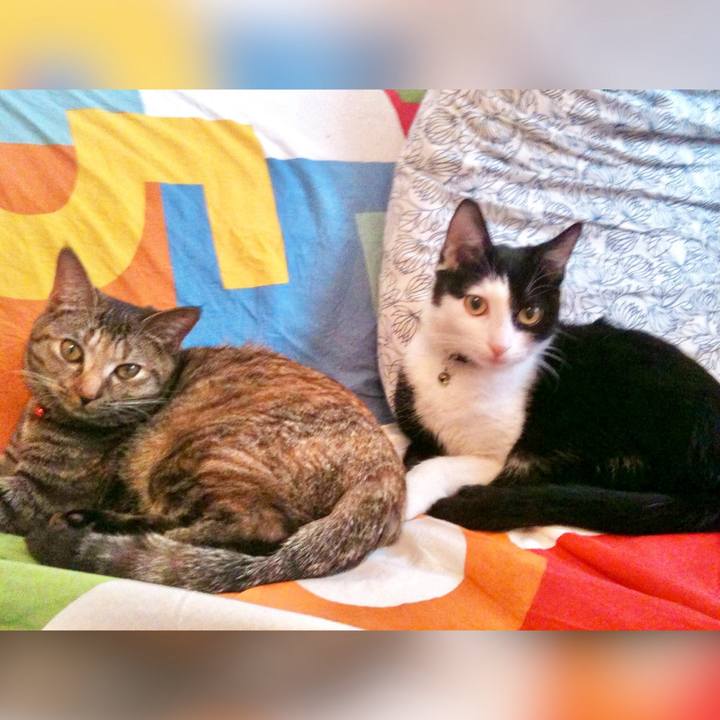 Df915f61 c120 43b8 bc9d 91c428c3e5e0 1709160482407