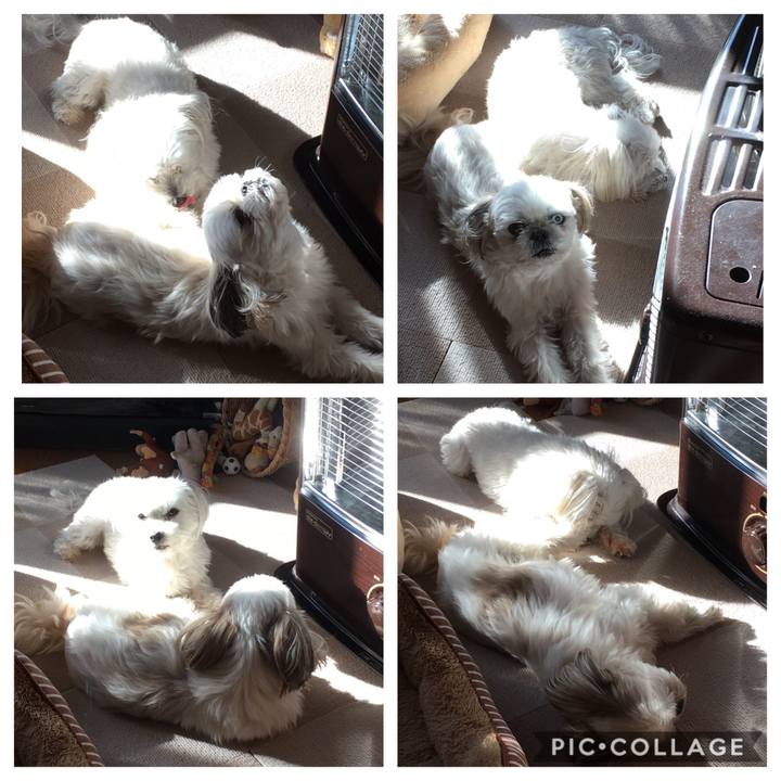 Df917255 898e 4aa1 b69d 514a3b982c48 1546476689422