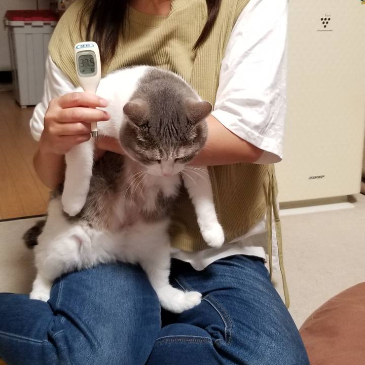 Df91a755 44fa 448d 81ac 6ebdb1a81bb2 1631519939494