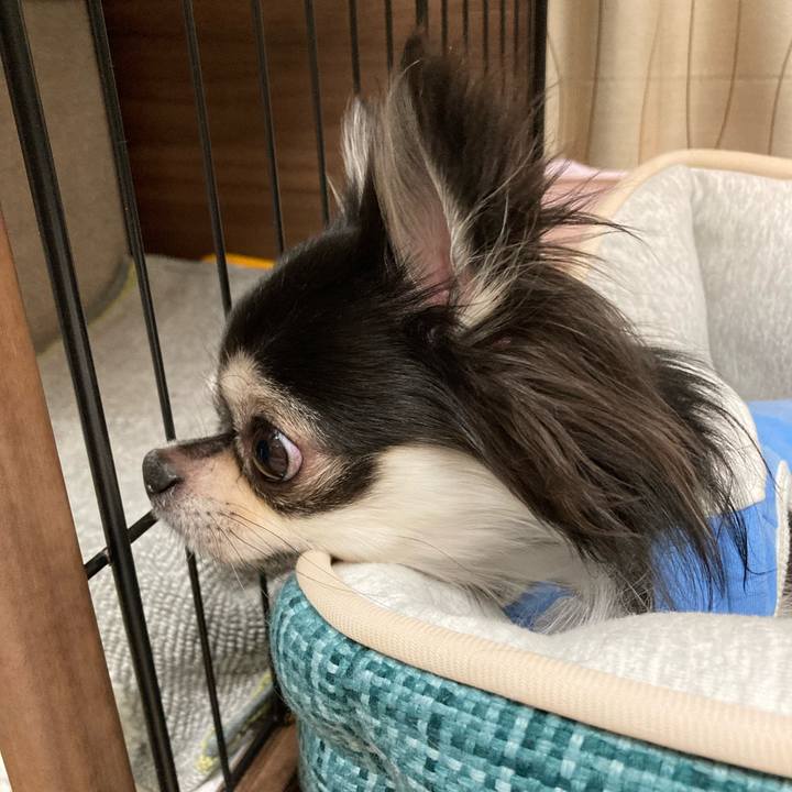 Df91a7e5 de4e 4a45 ba2f a06174b51411 1667138717453