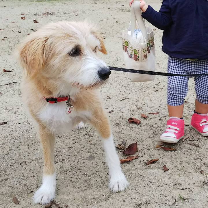 Df91b4c0 89fd 459e aa6c cc2593655082 1539415134822