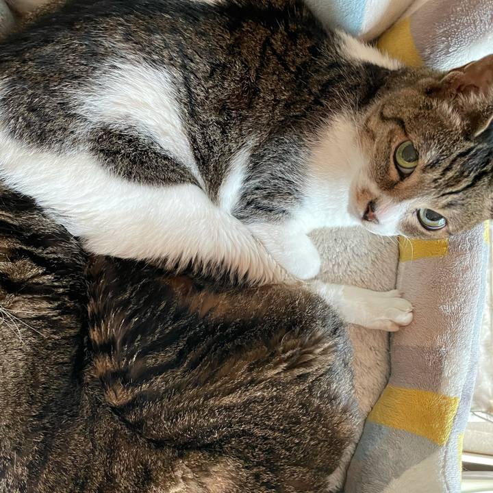 Df91c88d f753 4279 8953 dac65b64d0b9 1629246323582